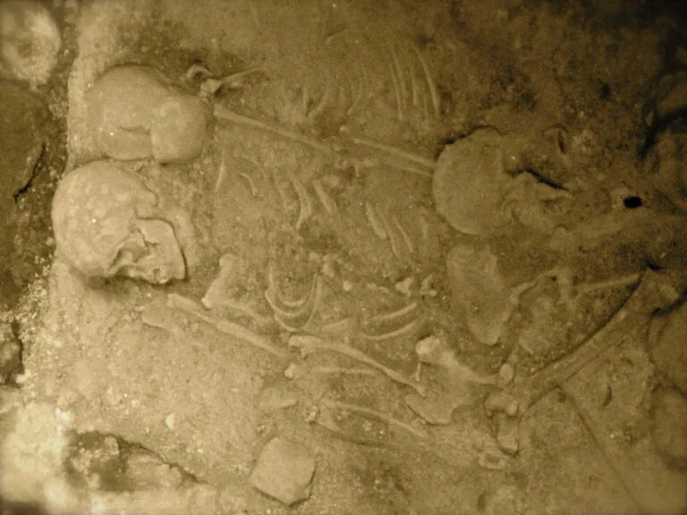 Fossili