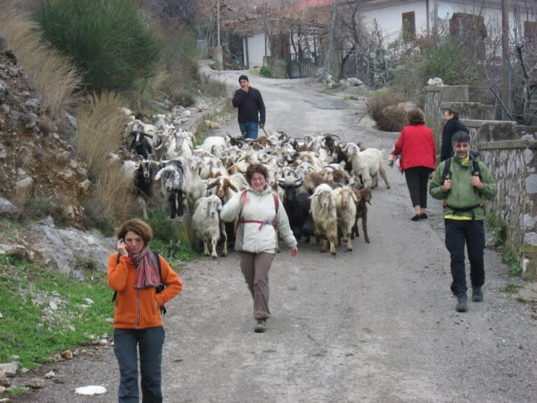 Attività in Agriturismo