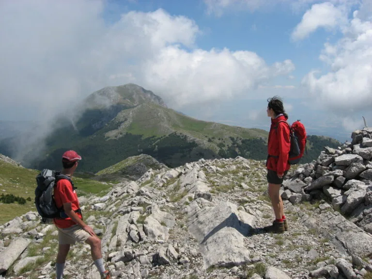 Programmi per agenzie