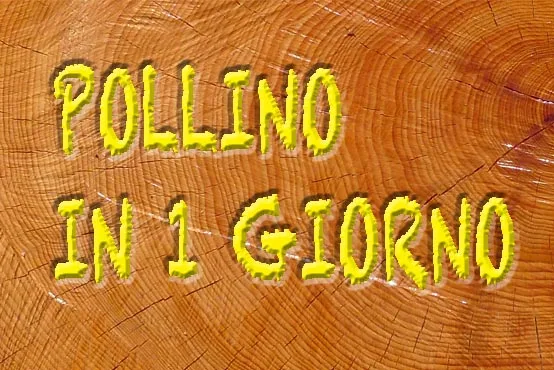 Pollino in 1 giorno
