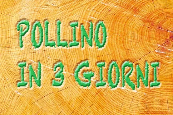 Pollino in 3 giorni
