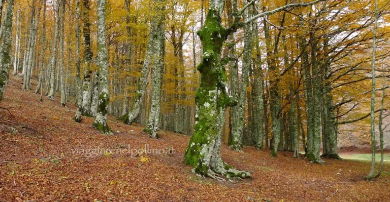 Trekking d’Autunno