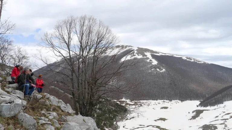 Escursioni invernali senza neve