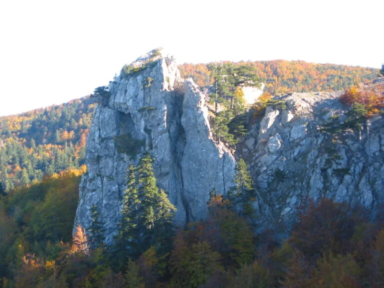 Foreste di Abete di Rue Ping e Pietra Castello