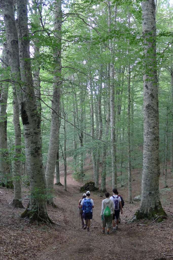 Le Faggete dei Cozzi dell’Anticristo