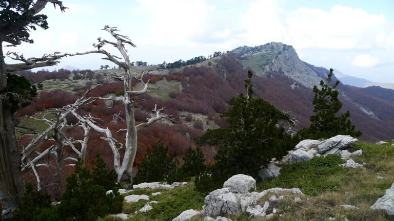 Serra delle Ciavole: Cimitero dei Pachidermi