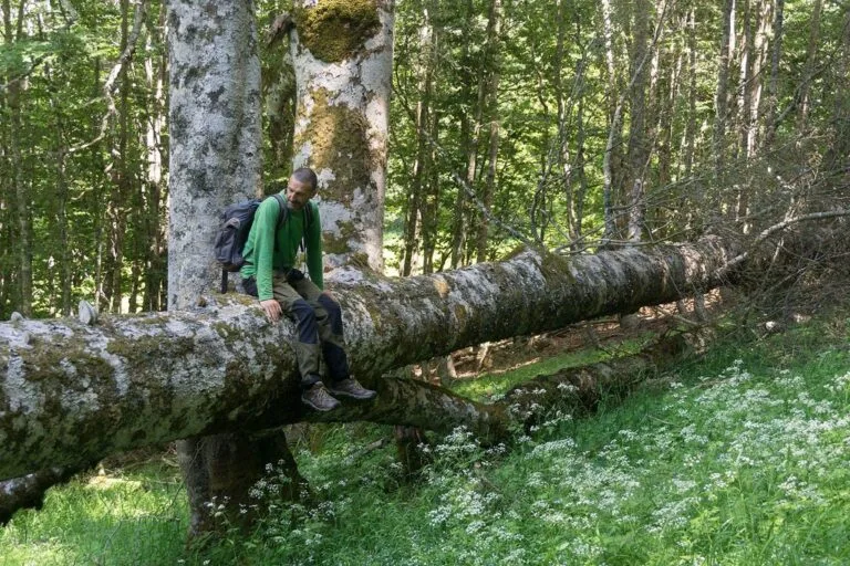 Coppola di Paola e Cozzo Ferriero