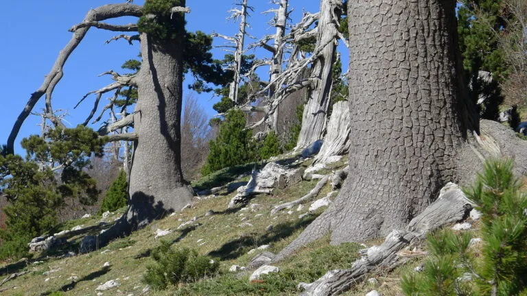 Serra di Crispo: il Giardino degli Dei