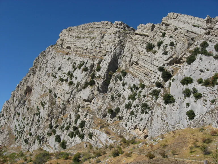 La Timpa Falconara