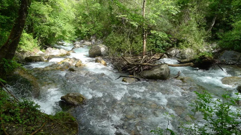 La Valle del Fiume Argentino