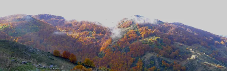 Monte Grasta: La Montagna del Vento