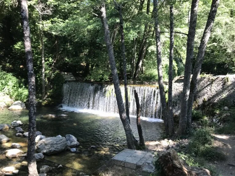 Bosco Magnano e Fiume Peschiera