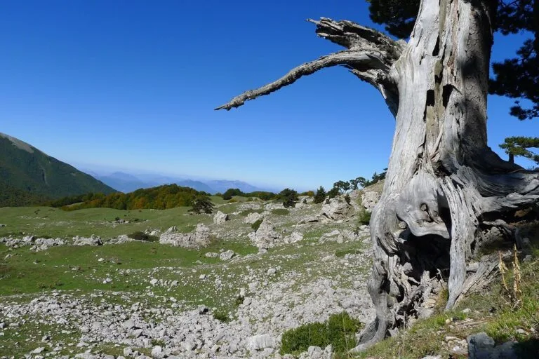 I Piani e la Grande Porta del Pollino
