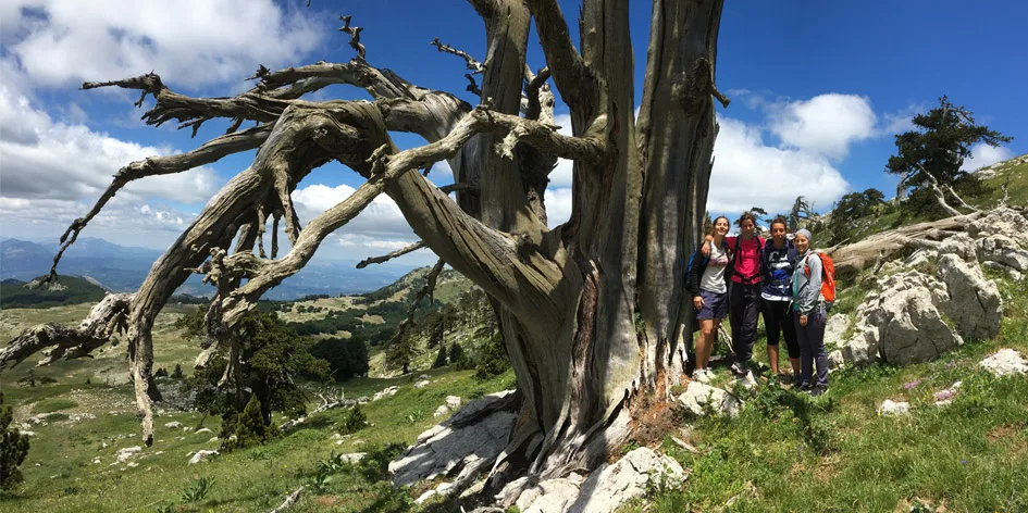 Viaggiare nel Pollino