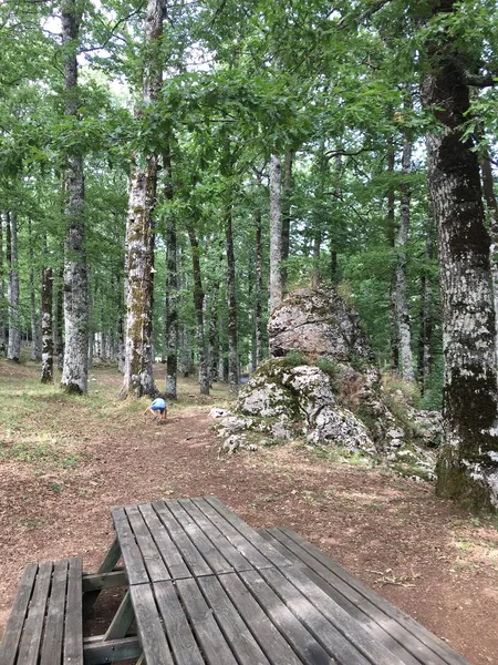 Bosco Difesa