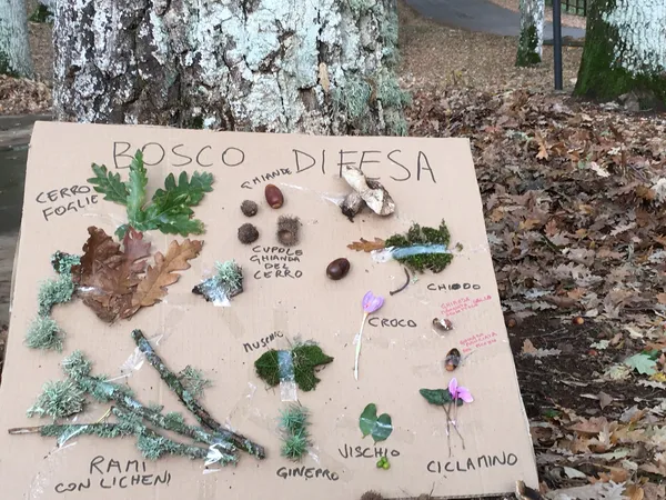Laboratori didattici a Bosco Difesa