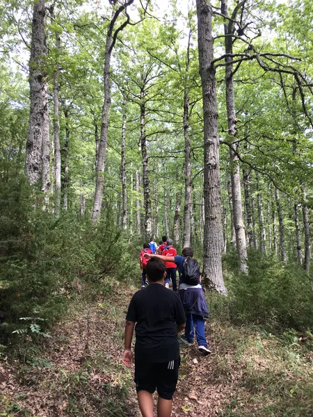 Bosco Difesa
