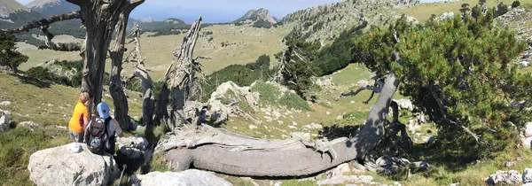 Serra delle Ciavole: Cimitero dei Pachidermi