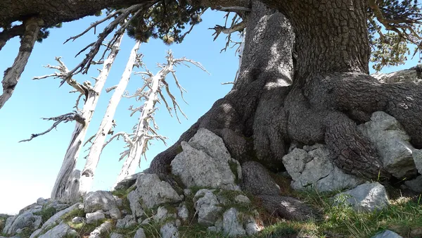 Serra delle Ciavole